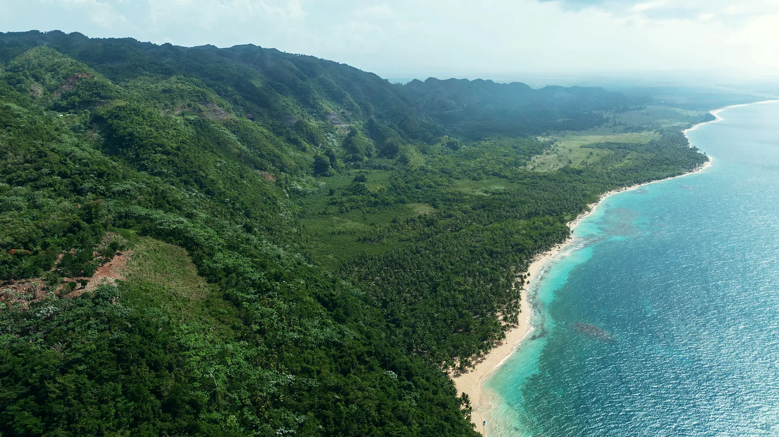 Una larga playa y montañas boscosas que se extienden a lo largo de la costa