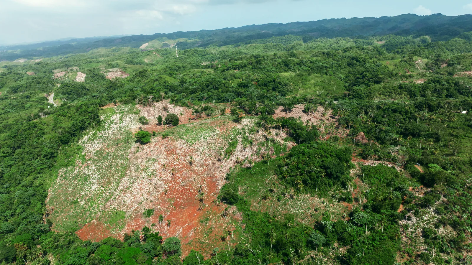 Ladera del terreno con claros de tierra roja entre el matorral verde