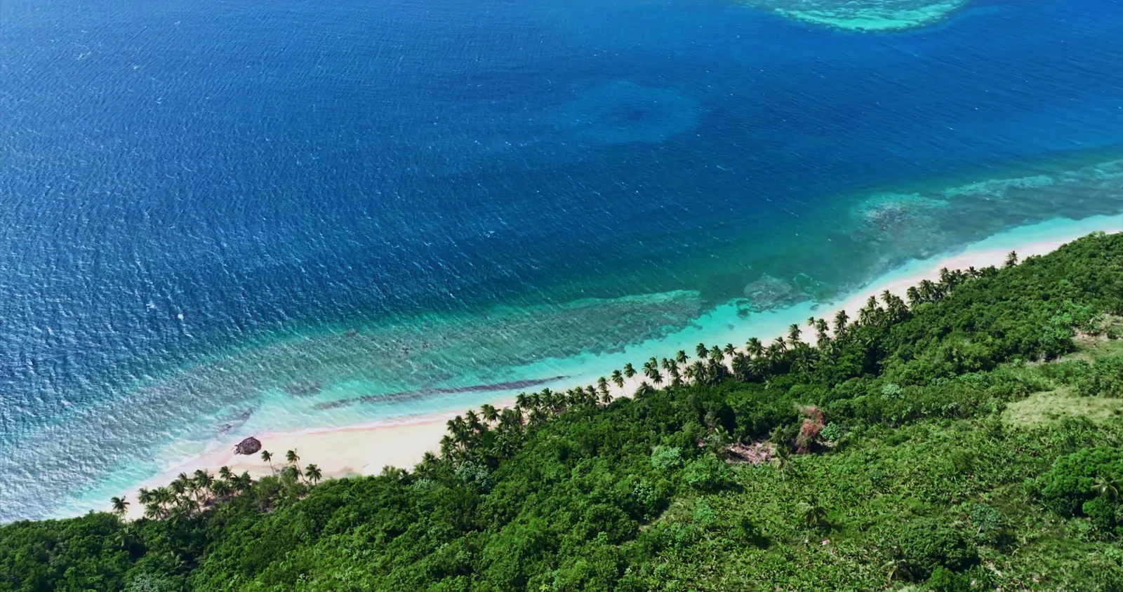 La playa vista desde arriba, con agua turquesa sobre el arrecife y palmeras detrás de la arena