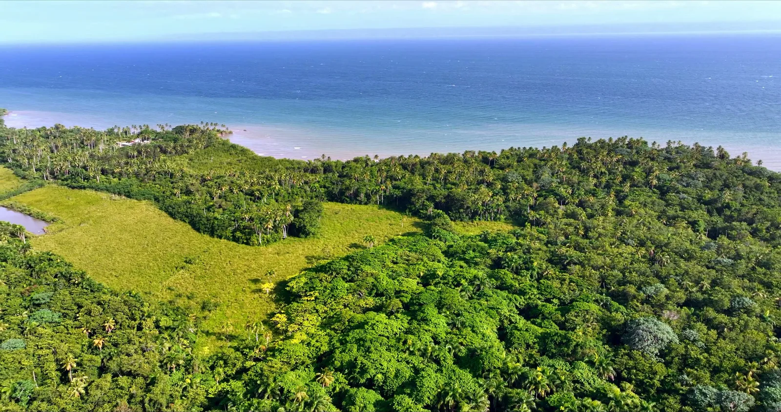Открытое пастбище в окружении леса, за ним море и пляж