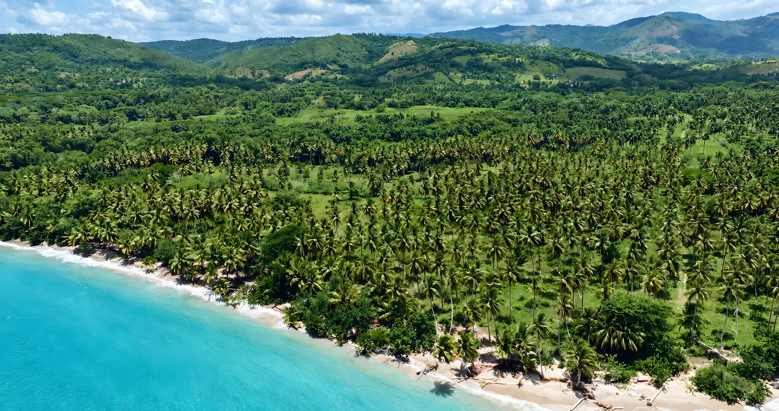 Un cocotal que baja hasta la playa y el agua clara y poco profunda