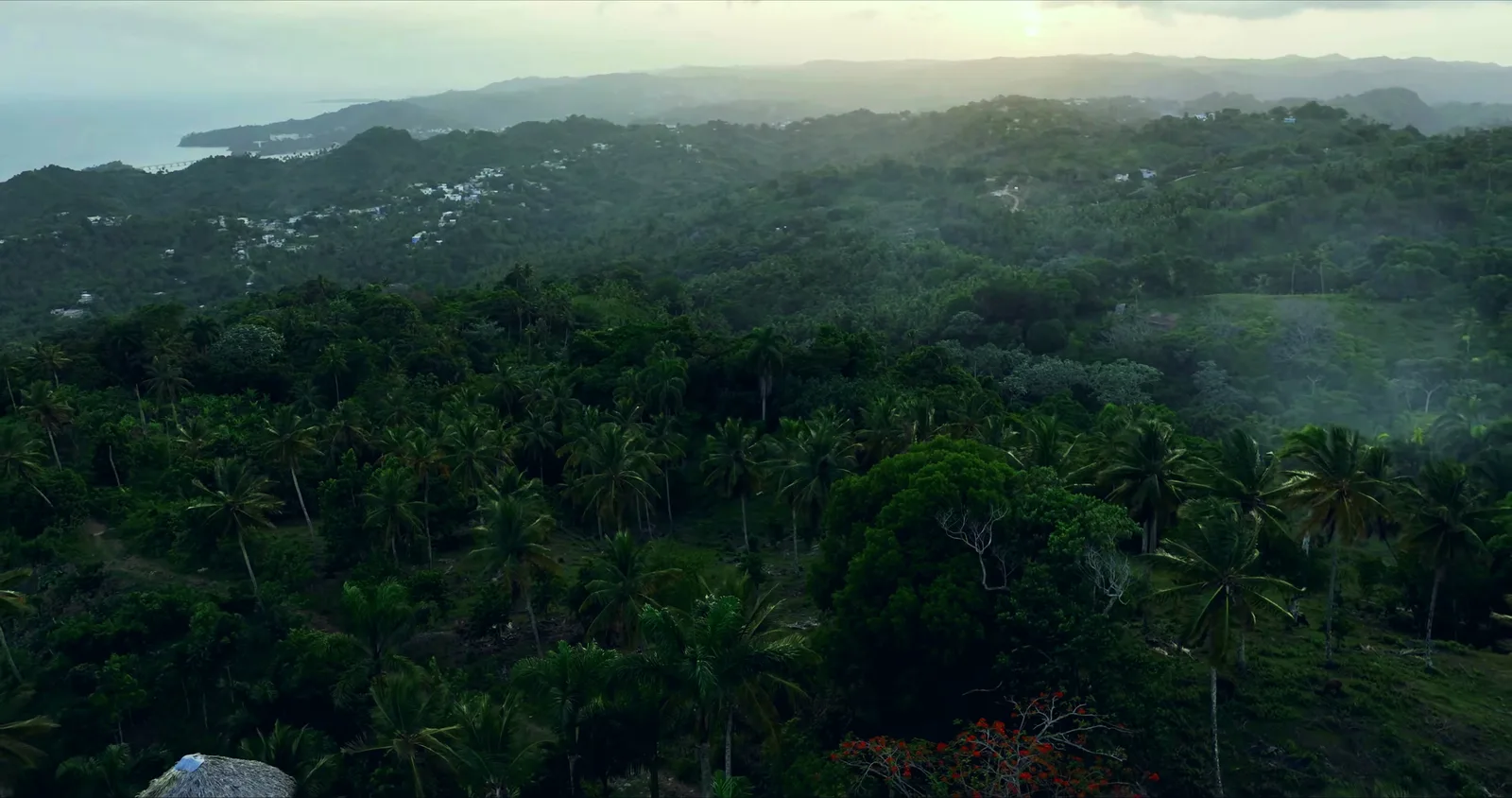 Vista do hotel sobre a mata coberta de névoa, em direção à costa