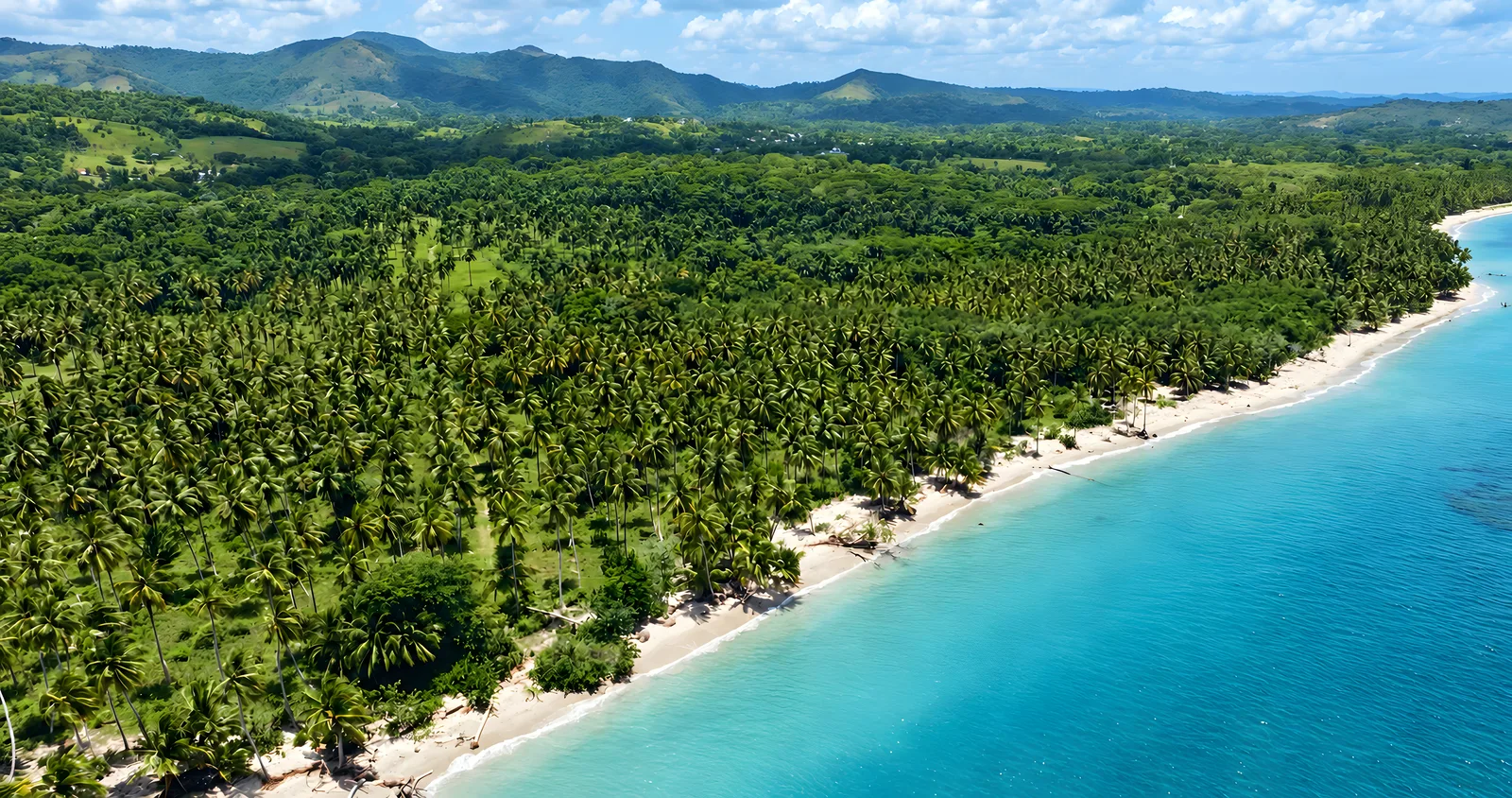 Playa blanca en curva, con agua turquesa y arrecife y un bosque de cocoteros a lo largo de la orilla