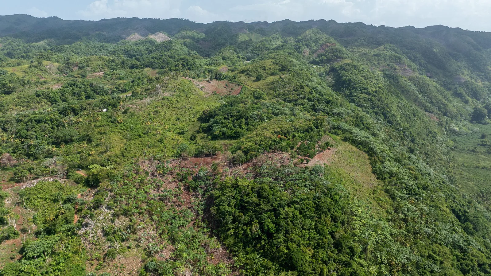 La parte interior del terreno: lomas y valles verdes cubiertos de matorral y bosque