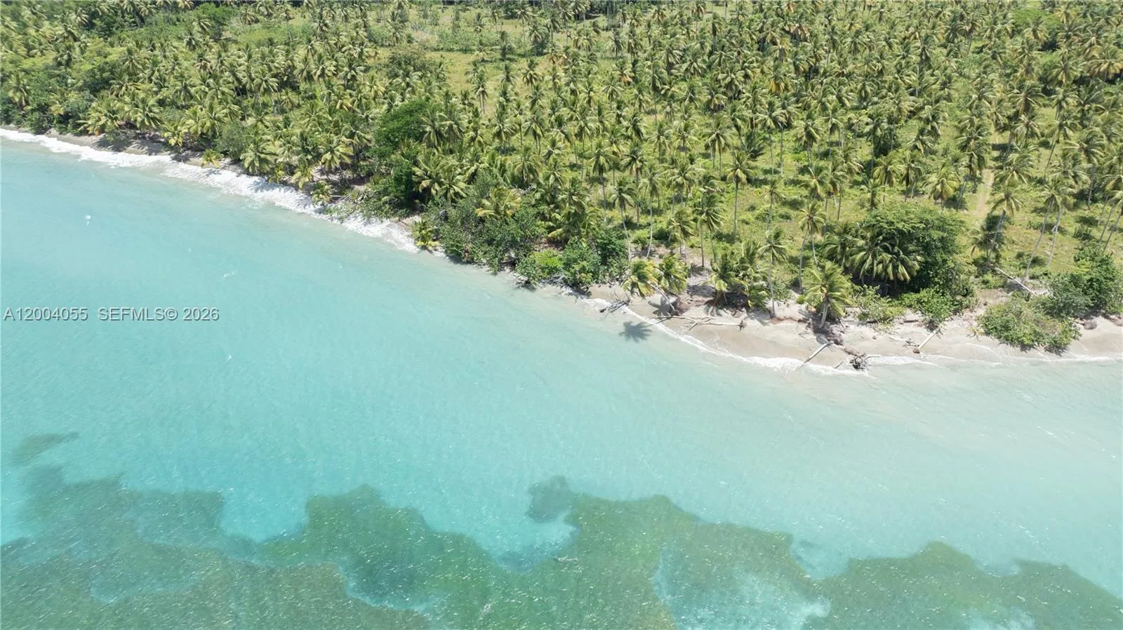 La orilla desde arriba: palmeras, una playa estrecha y arrecife en un agua de turquesa pálido