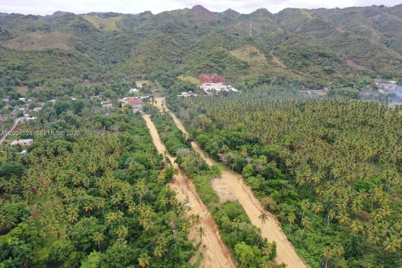 Una strada sterrata tra le palme da cocco, verso le colline