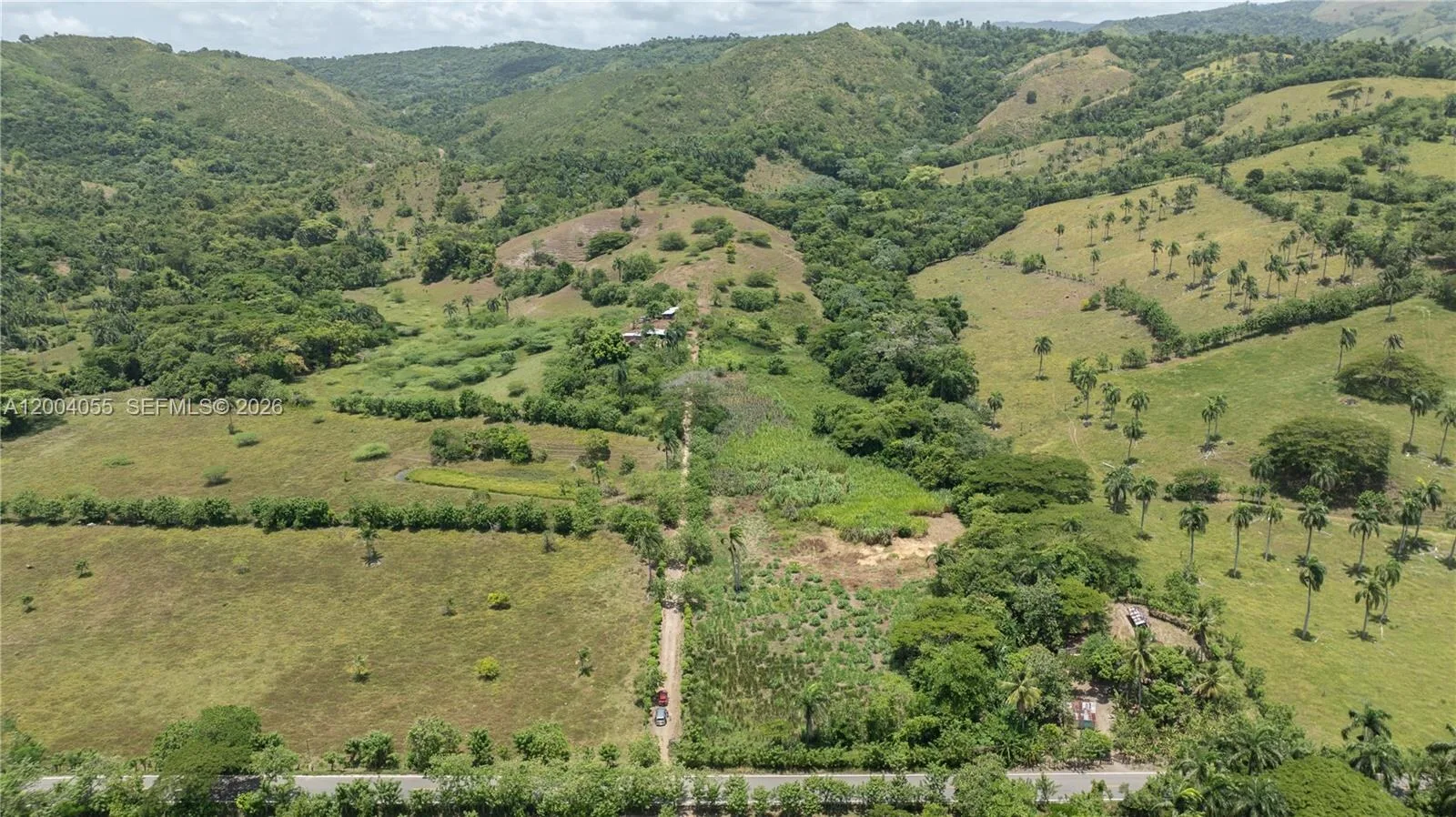 Valle con parcelas cercadas, un camino de tierra y palmeras al pie de las lomas
