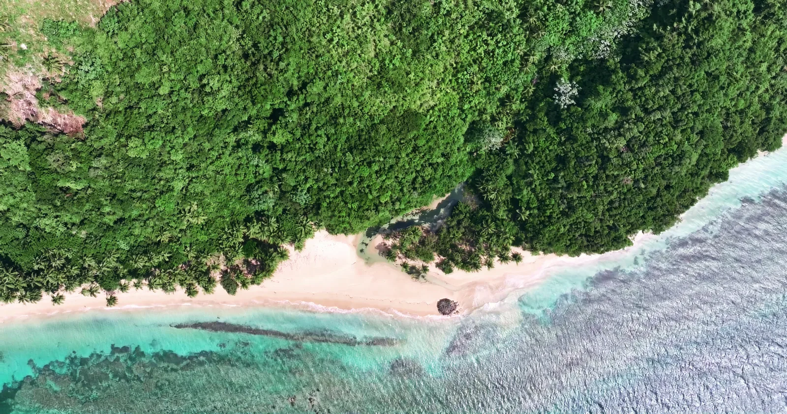 Pequeña cala con una playa blanca entre el bosque y el arrecife