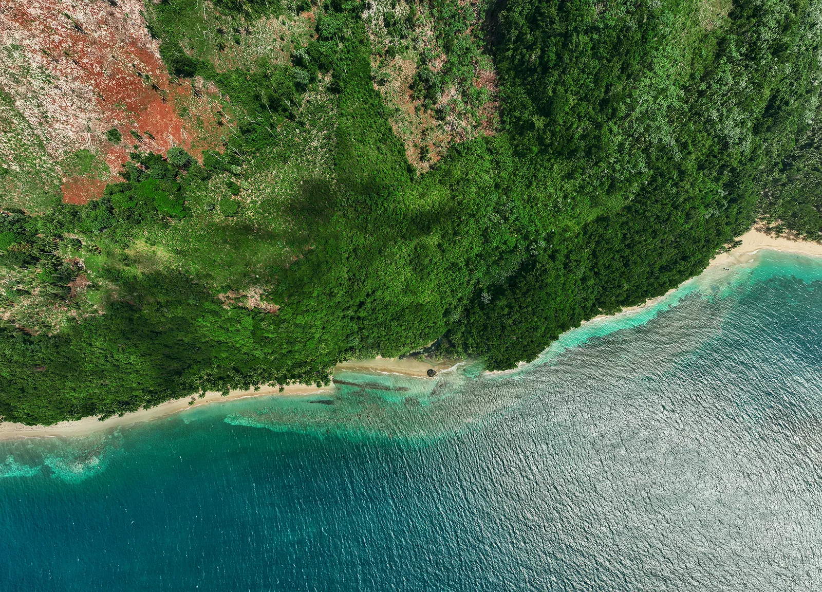 Vista cenital del punto donde el bosque se encuentra con la playa y el arrecife