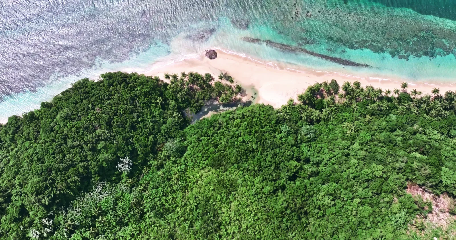 Una lengua de arena y el arrecife vistos desde arriba, con el bosque hasta la orilla