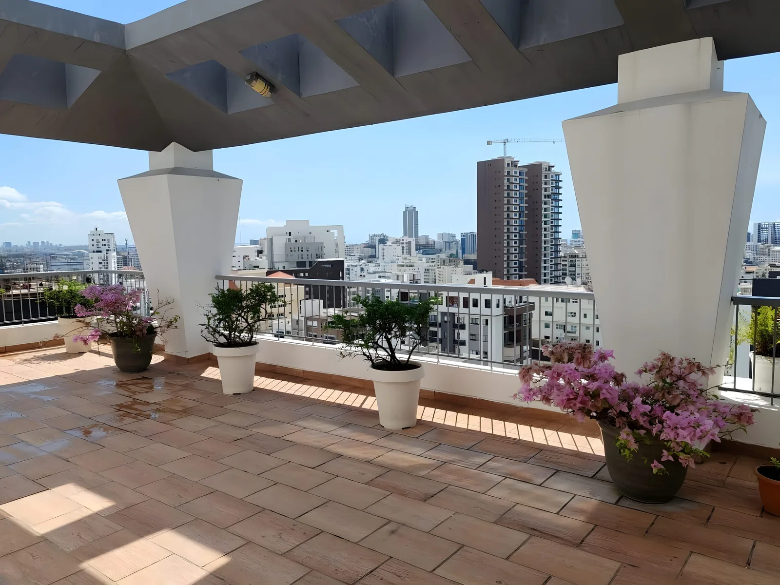 Terrace with flowering plants under the roof beams, the city skyline beyond